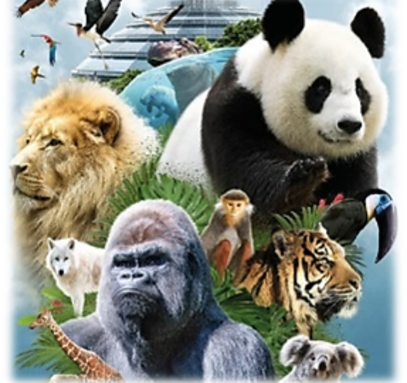 Image3.png